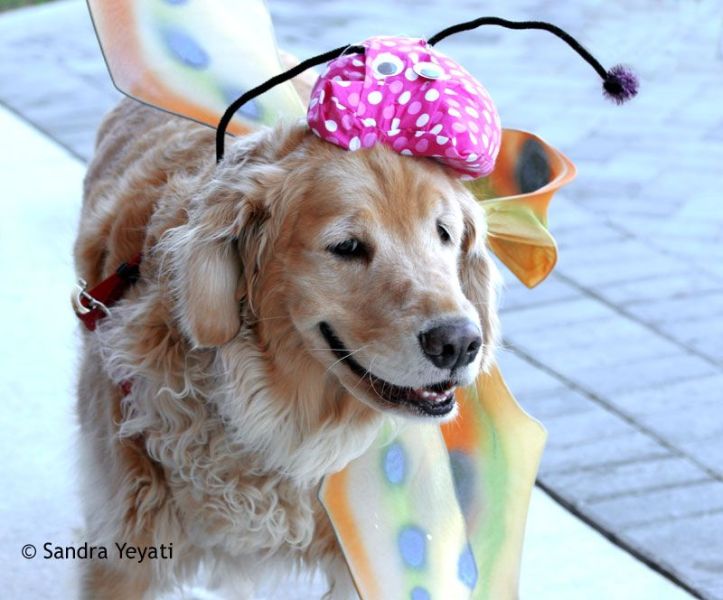 Retrieving-Her-Dignity